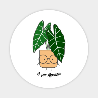 A for Alocasia Magnet